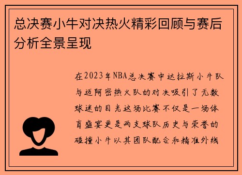 总决赛小牛对决热火精彩回顾与赛后分析全景呈现